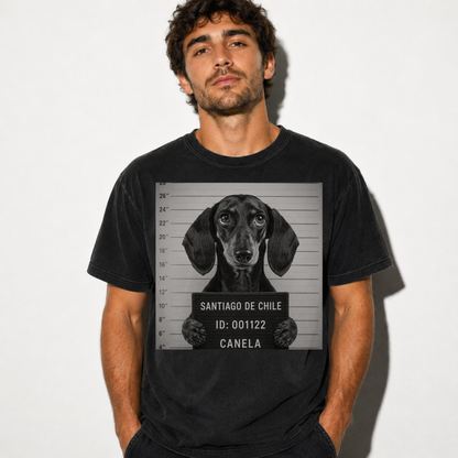 Polera personalizada con tu mascota – Estilo Vintage