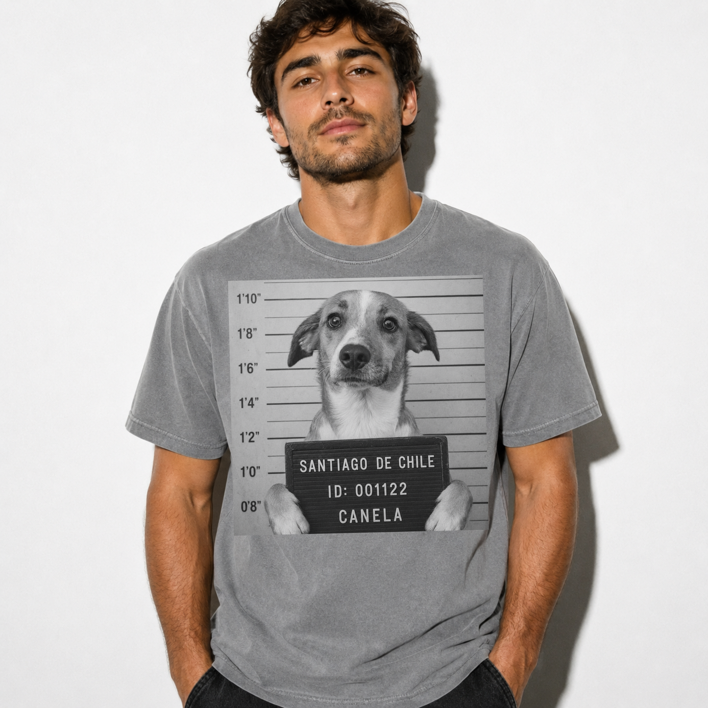 Polera personalizada con tu mascota – Estilo Vintage