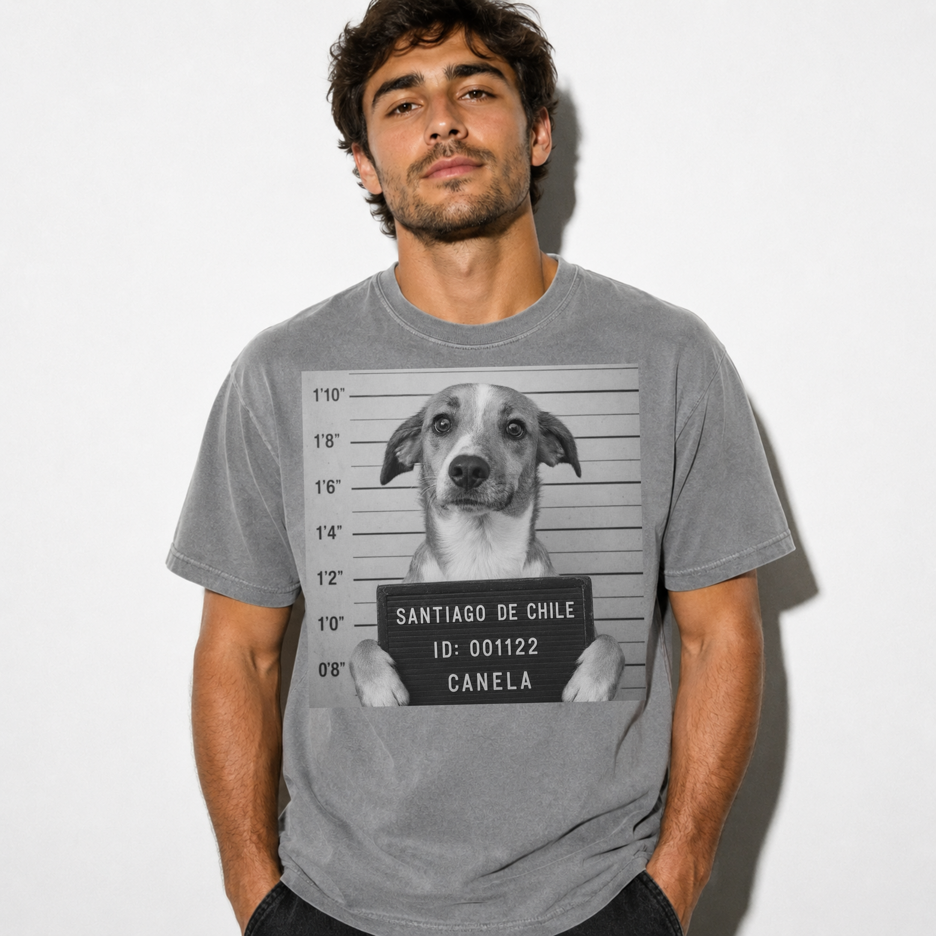Polera personalizada con tu mascota – Estilo Vintage