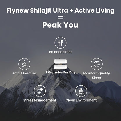 Shilajit for Men Women, Shilajit with Naturally Fulvic Acid & L-Arginine, Himalayan Shilajits for Extra Power, Stamina & Immune Support, Non-GMO, Made in USA, 60 Capsules, 1,300mg Per Serving