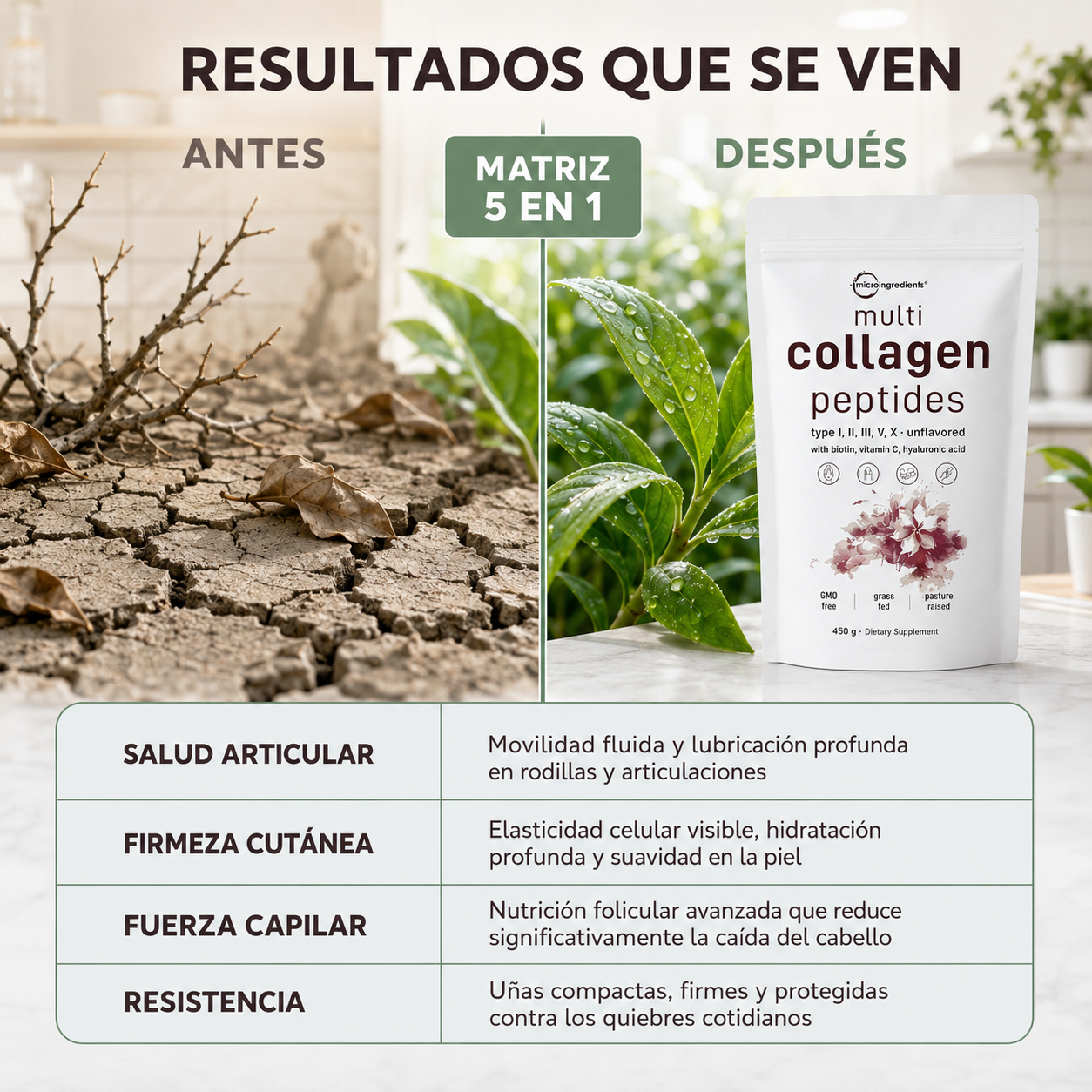 Collagen Peptides Multi