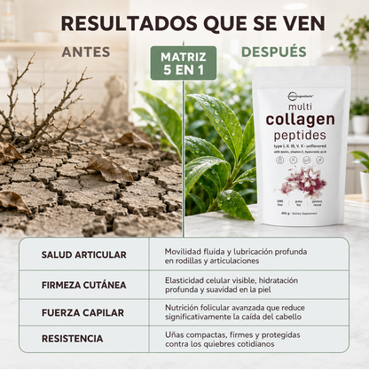 Collagen Peptides Multi