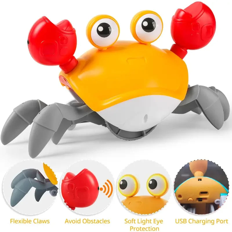 Cangrejo Caminador Montessori Usb